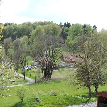 Ferienwohnung Waldoase Am Fuchsenstein Шпіґелау Номер фото